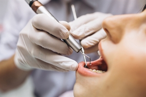 In Davison, MI, Jacob Navarro and Joselyn Hickman Learned About Orthodontist Leesburg Va thumbnail